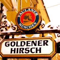 Goldener_Hirsch